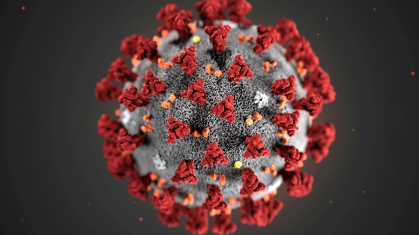Эксперты не исключили заражение коронавирусом двух третей населения Земли 